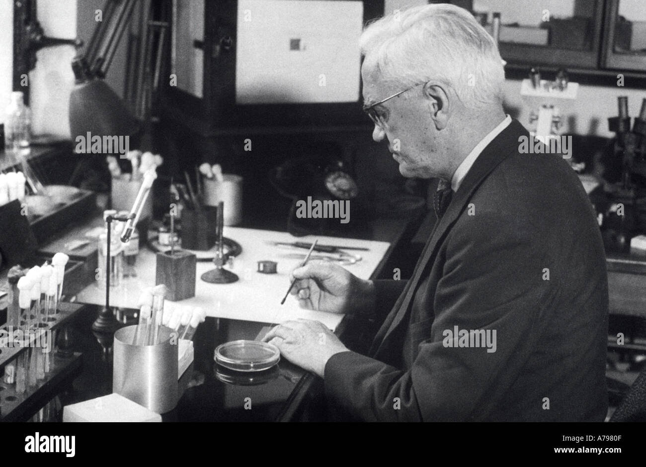 Alexander Fleming Stockfoto