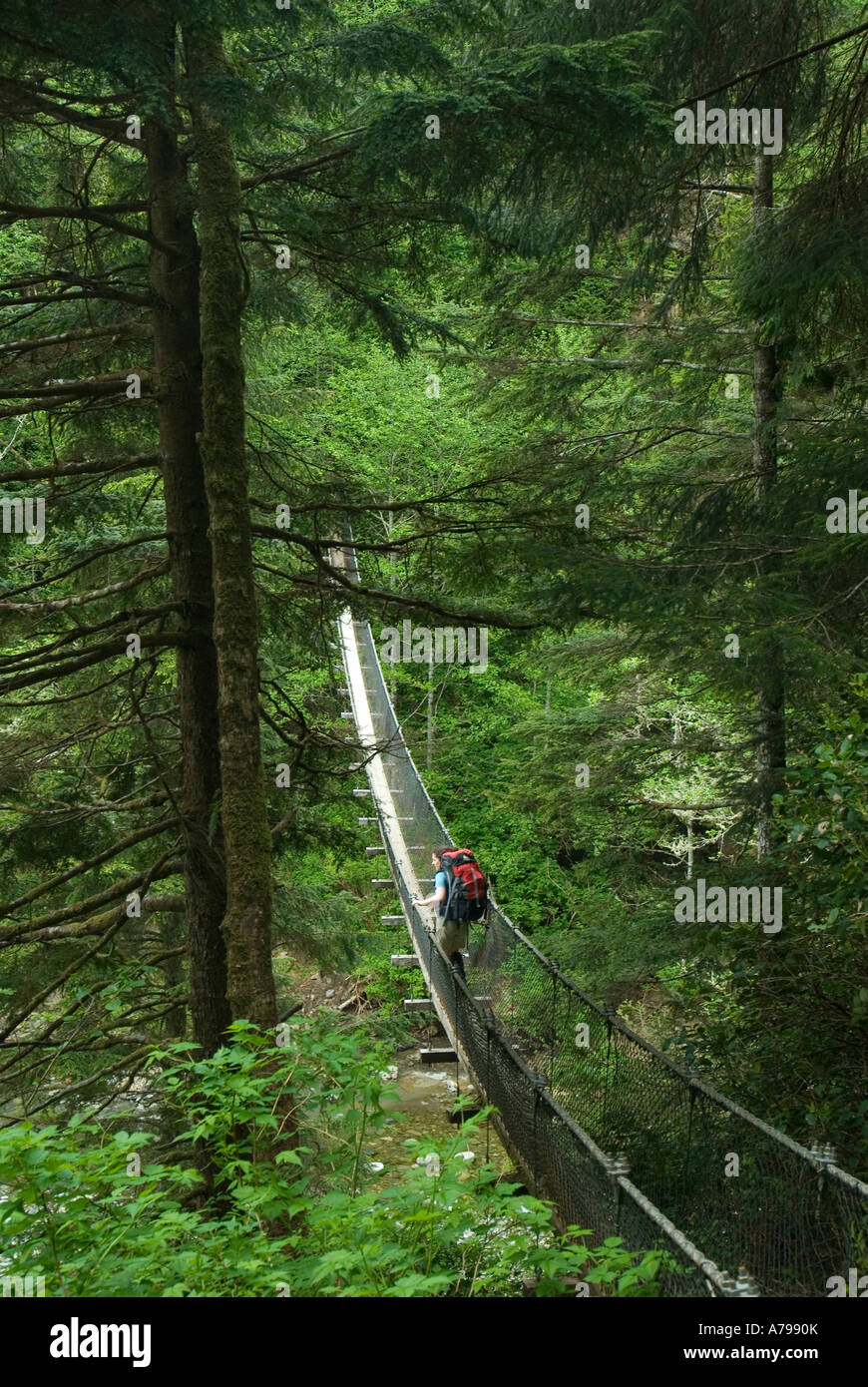 Logan creek hängebrücke -Fotos und -Bildmaterial in hoher Auflösung – Alamy