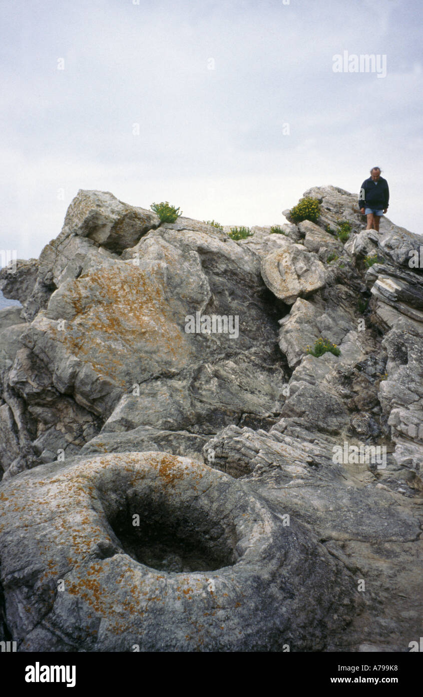 Mann zu Fuß auf prähistorischen fossile Cycadeen im fossilen Wald Lulworth Dorset-England Stockfoto