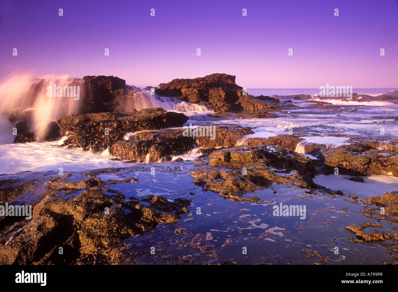 Eine Welle schwappt über Felsen am Strand von Botanical Beach Provincial Park in der Nähe von Port Renfrew BC Kanada Stockfoto