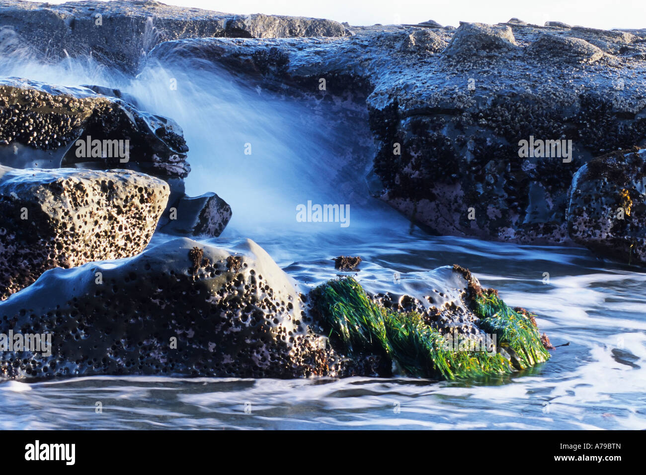 Wave spritzt gegen einen Felsen Botanical Beach Provincial Park v. Chr. Stockfoto