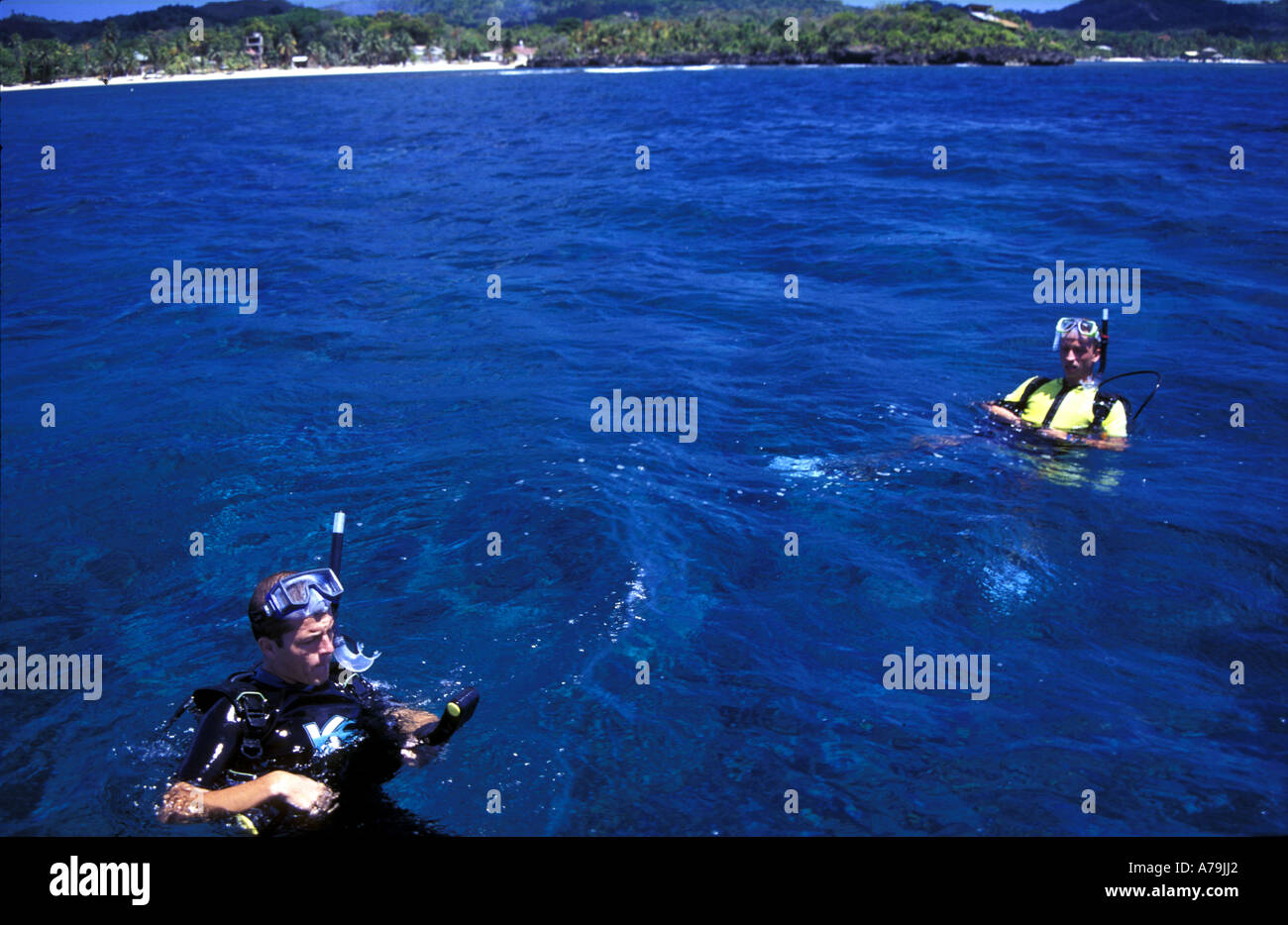 Etwa in Half Moon Bay Wall mit der Stadt des West End im Hintergrund Roatan Bay Islands Honduras Karibik Nein Herr Tauchen Stockfoto