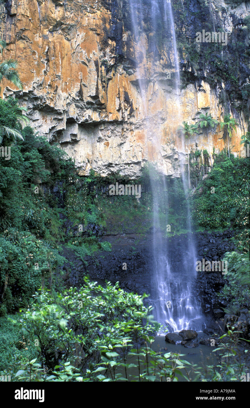 Subtropischen Purlingbrook Falls Springbrook National Park Süd-Queensland-Australien Stockfoto