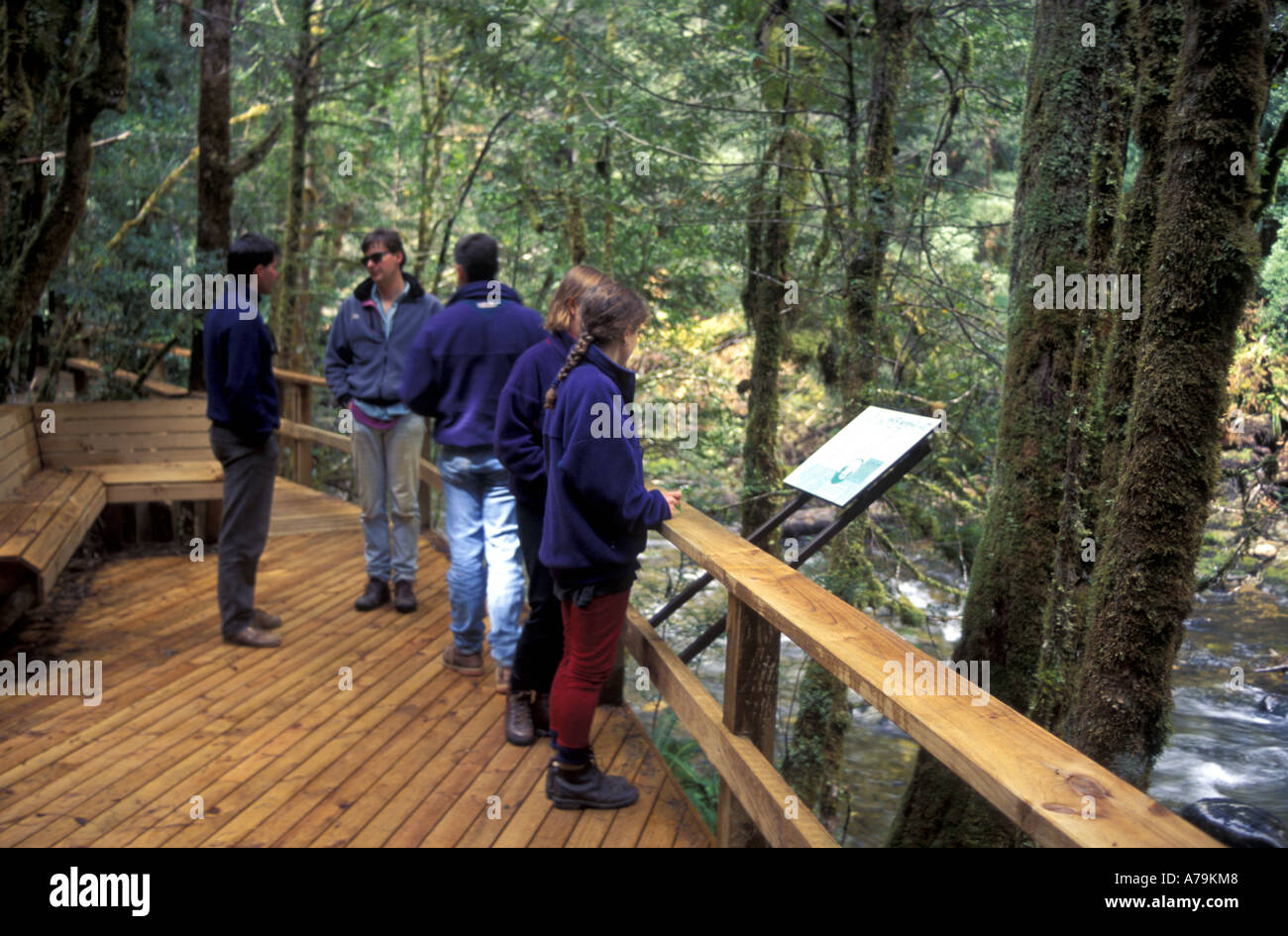 Ökotouristen Check-out die Angaben bei der minimalen Anlage in den gemäßigten Regenwäldern der Surprise Creek Stockfoto