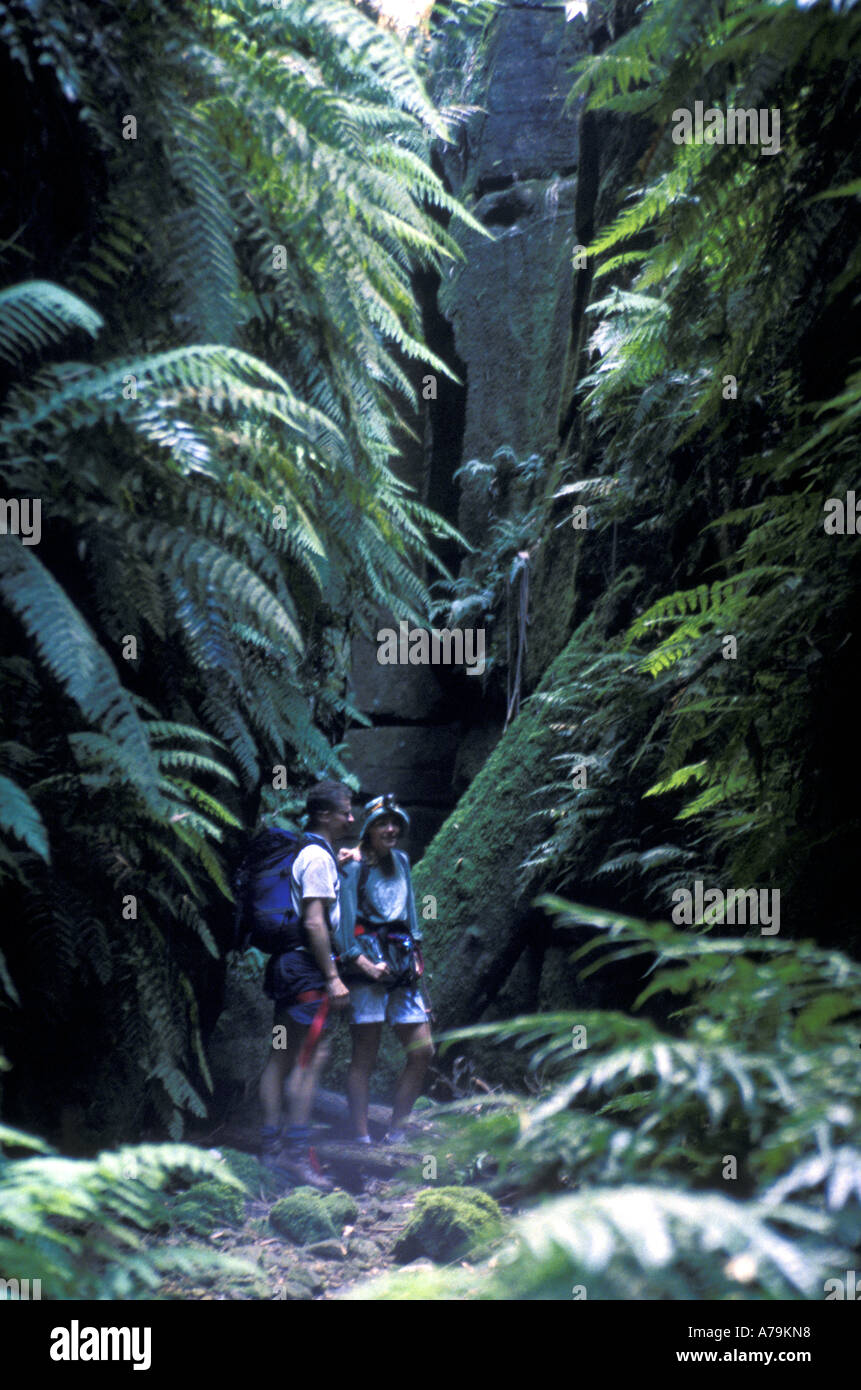 Canyoningsportler Eingabe Sternenlicht Canyon Wollemi Nationalpark New South Wales Australien Stockfoto