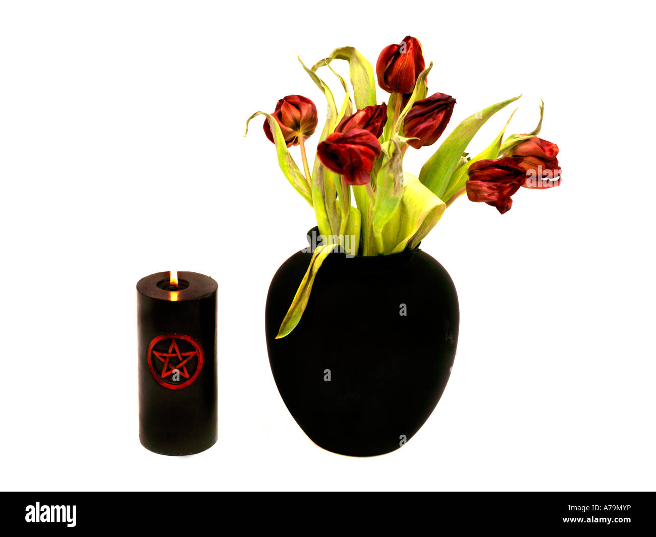 Sterbende Tulpen & schwarzen Vase Kerze Stockfoto