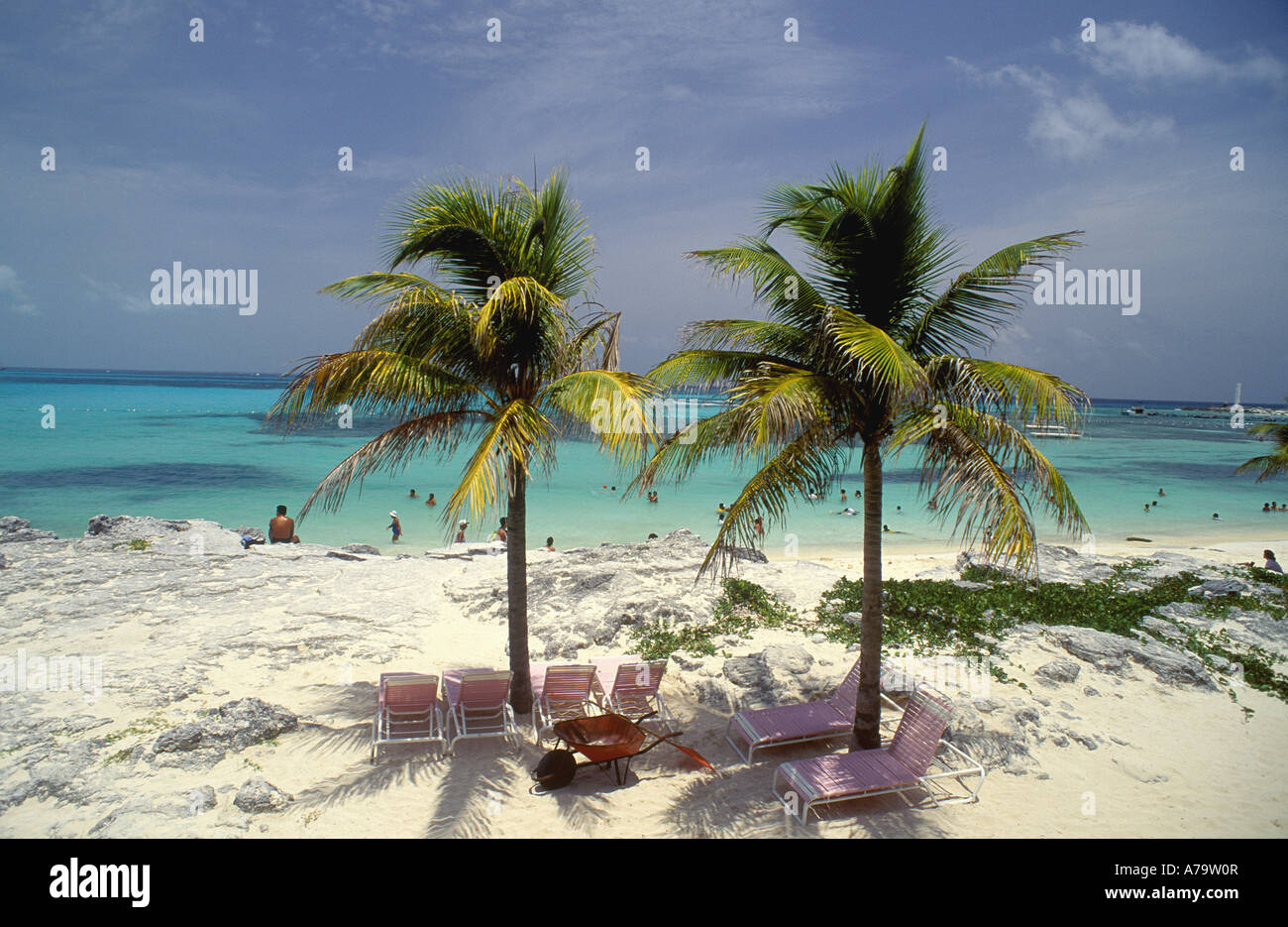 Twin-Palmen, Cancun, Mexiko Stockfoto