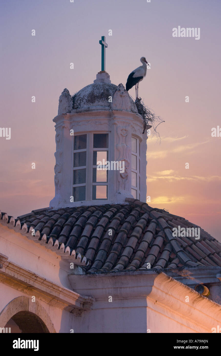 Portugal, Algarve. Storch auf Kirche in Faro bei Sonnenuntergang Stockfoto