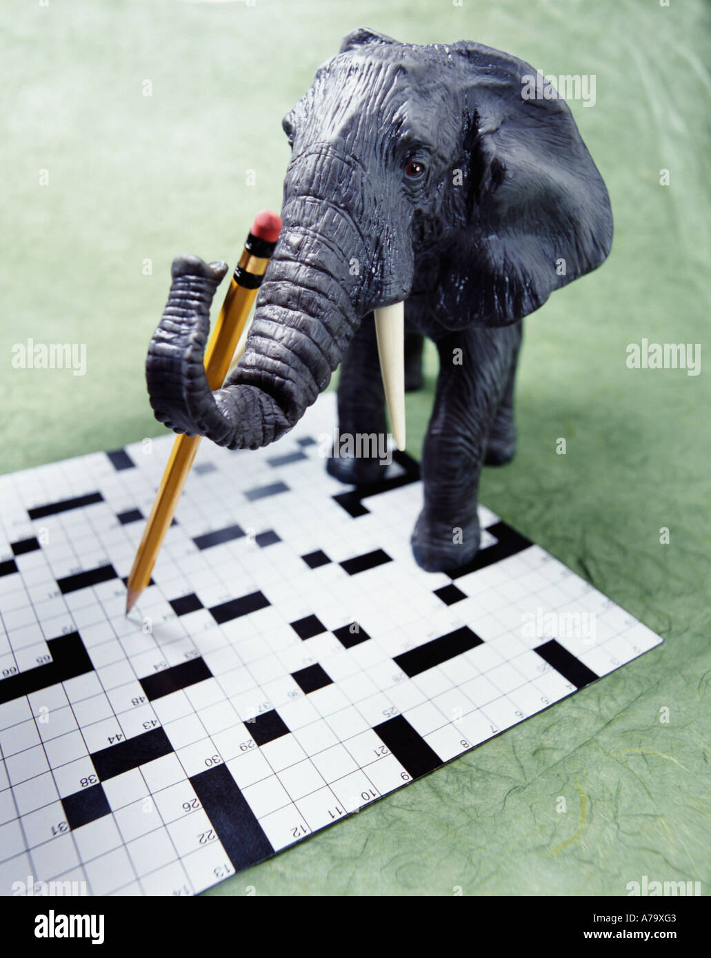 Elefanten tun Kreuz Wort Puzzle Stockfoto