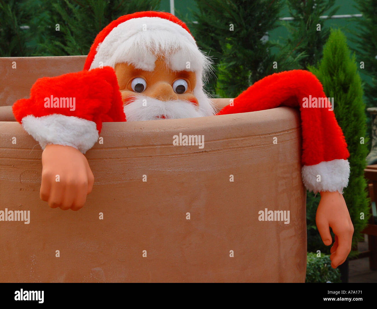 Weihnachtsmann im Garten Topf Stockfoto