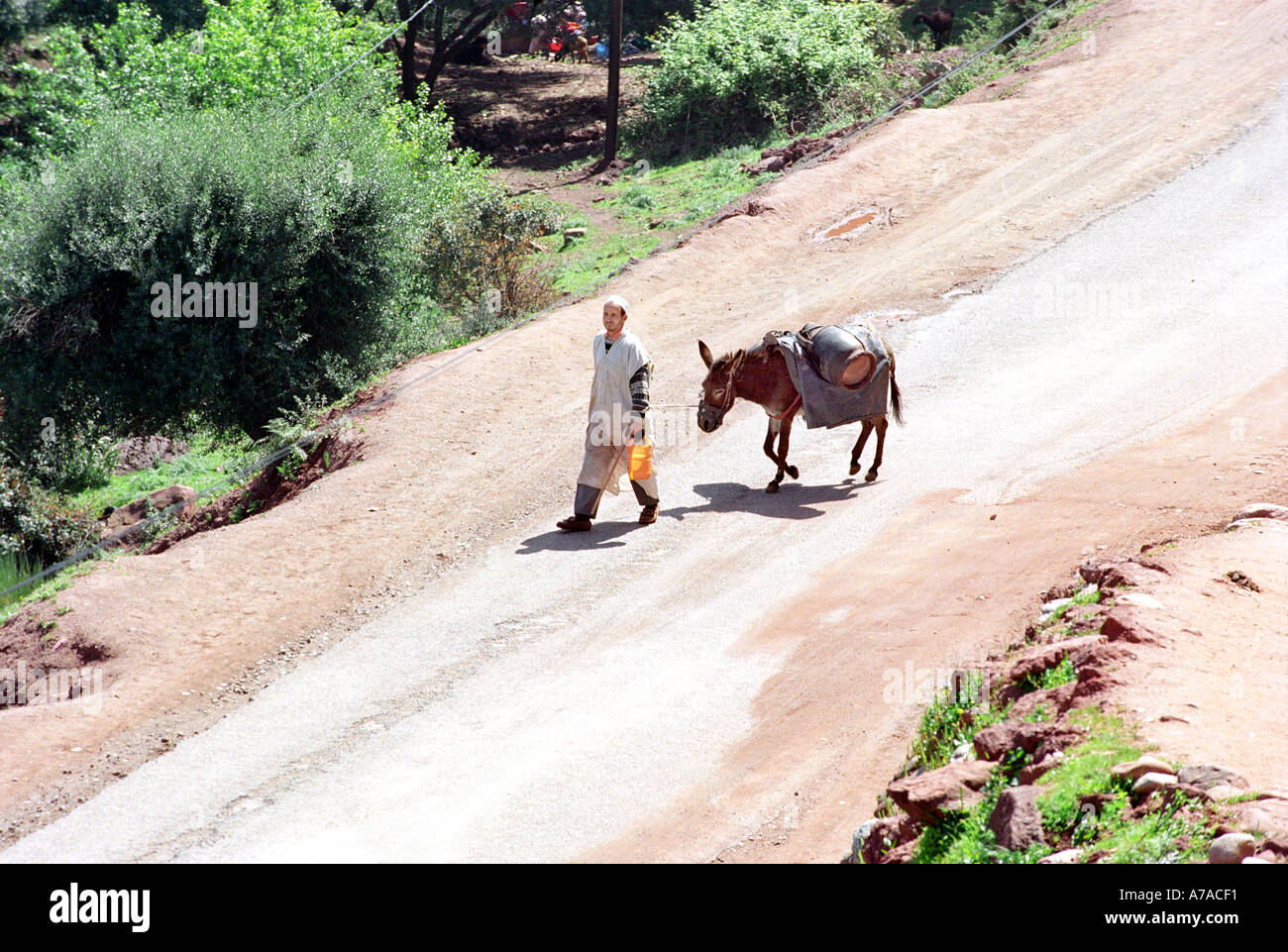 Ein Mann und seinem Esel auf einer Straße unter dem Atlas-Gebirge in Marokko Nordafrika Stockfoto