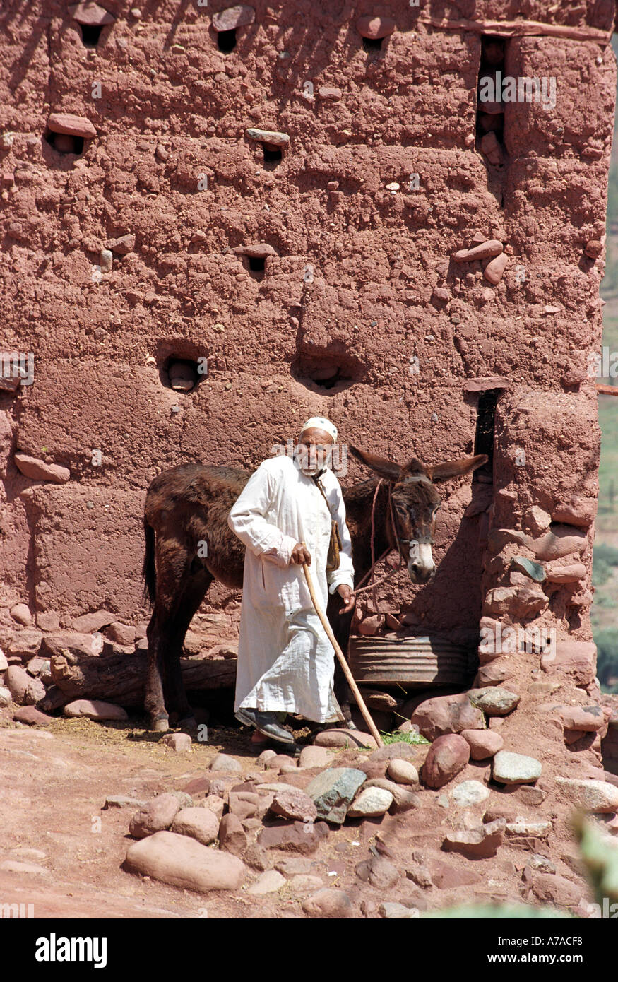 Ein Alter Mann und ein Esel in einem der vielen kleinen Dörfer unter dem Atlas-Gebirge in Marokko Nordafrika Stockfoto