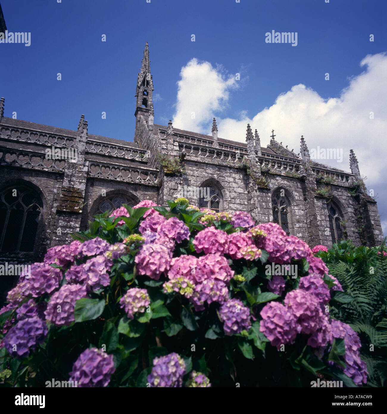 Kirche St. Ronan / Locronan Stockfoto