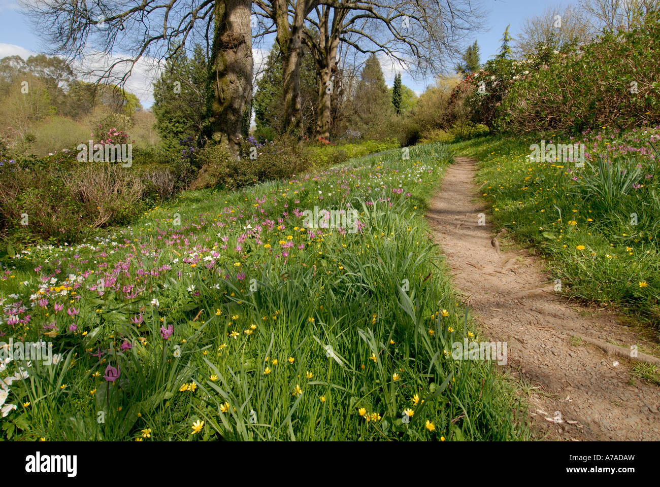 Waldweg Garten im Frühjahr Stockfoto