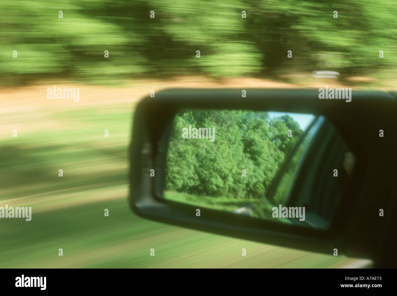 Fahrer-Außenspiegel auf Auto reflektieren Bäume und unscharfen Laub Stockfoto