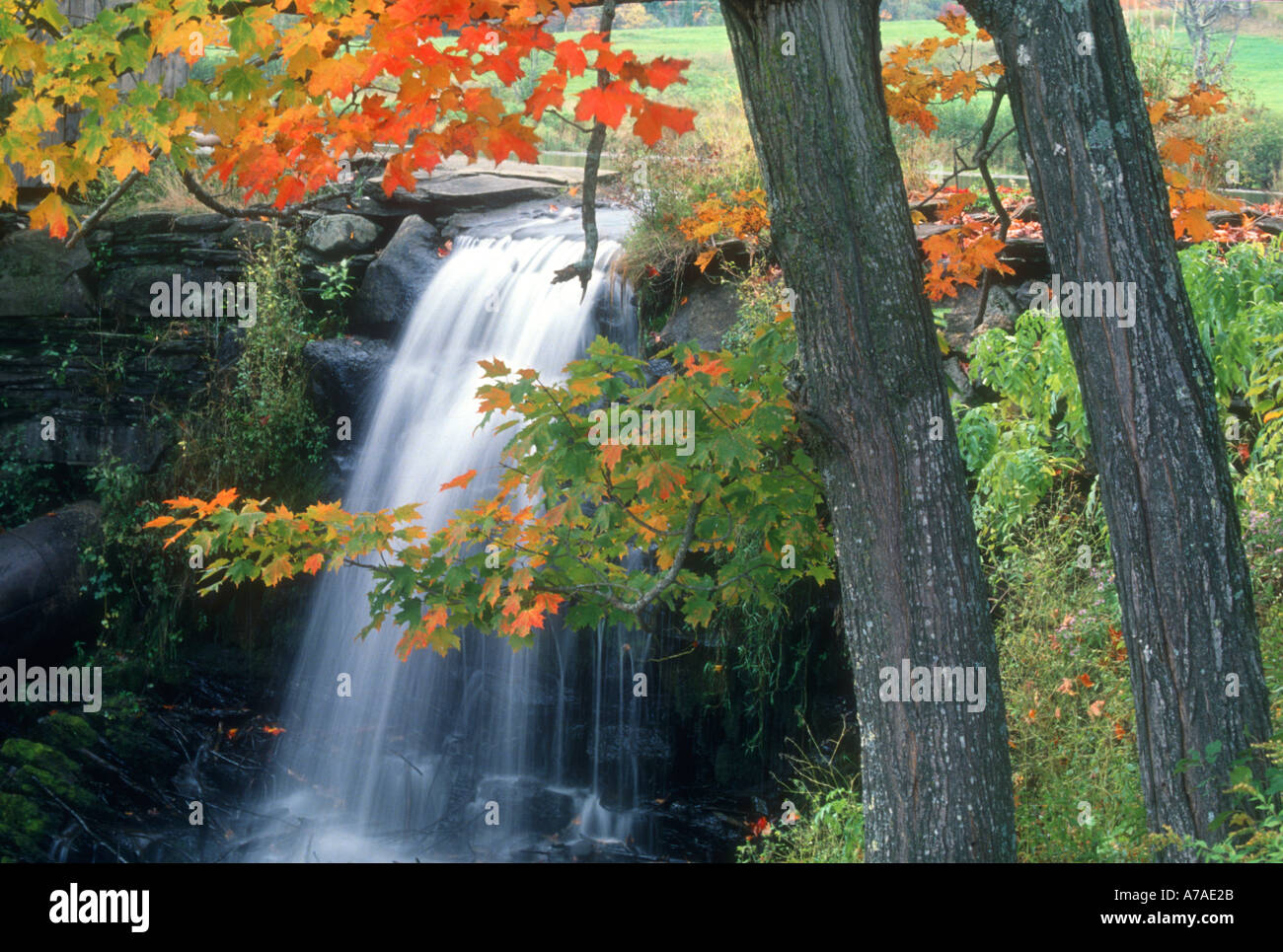 kleiner Wasserfall Upstate New York während der Falljahreszeit Laub Stockfoto