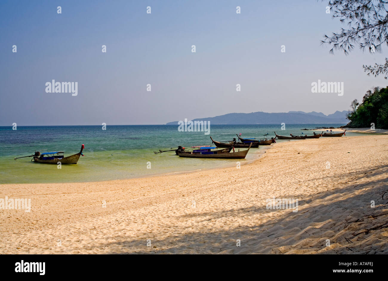 Long Tail Boote Bambus Insel Provinz Krabi Thailand Stockfoto