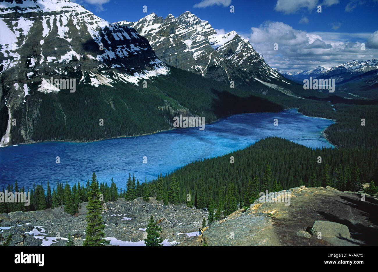 Lake Peyto-British Columbia-n3 Stockfoto