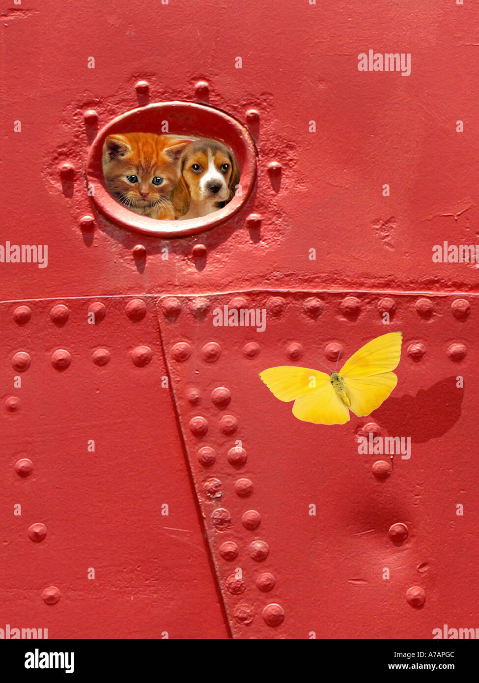 beste Freunde-AMICI Stockfoto