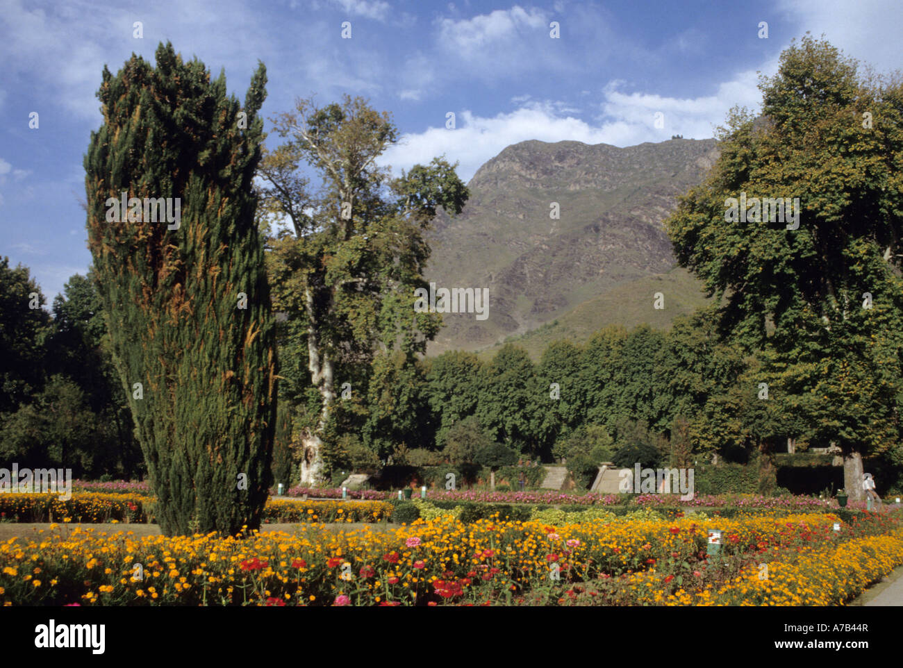 Nord Indien Local Caption Jammu Kaschmir Srinagar Nishat Gärten Stockfoto