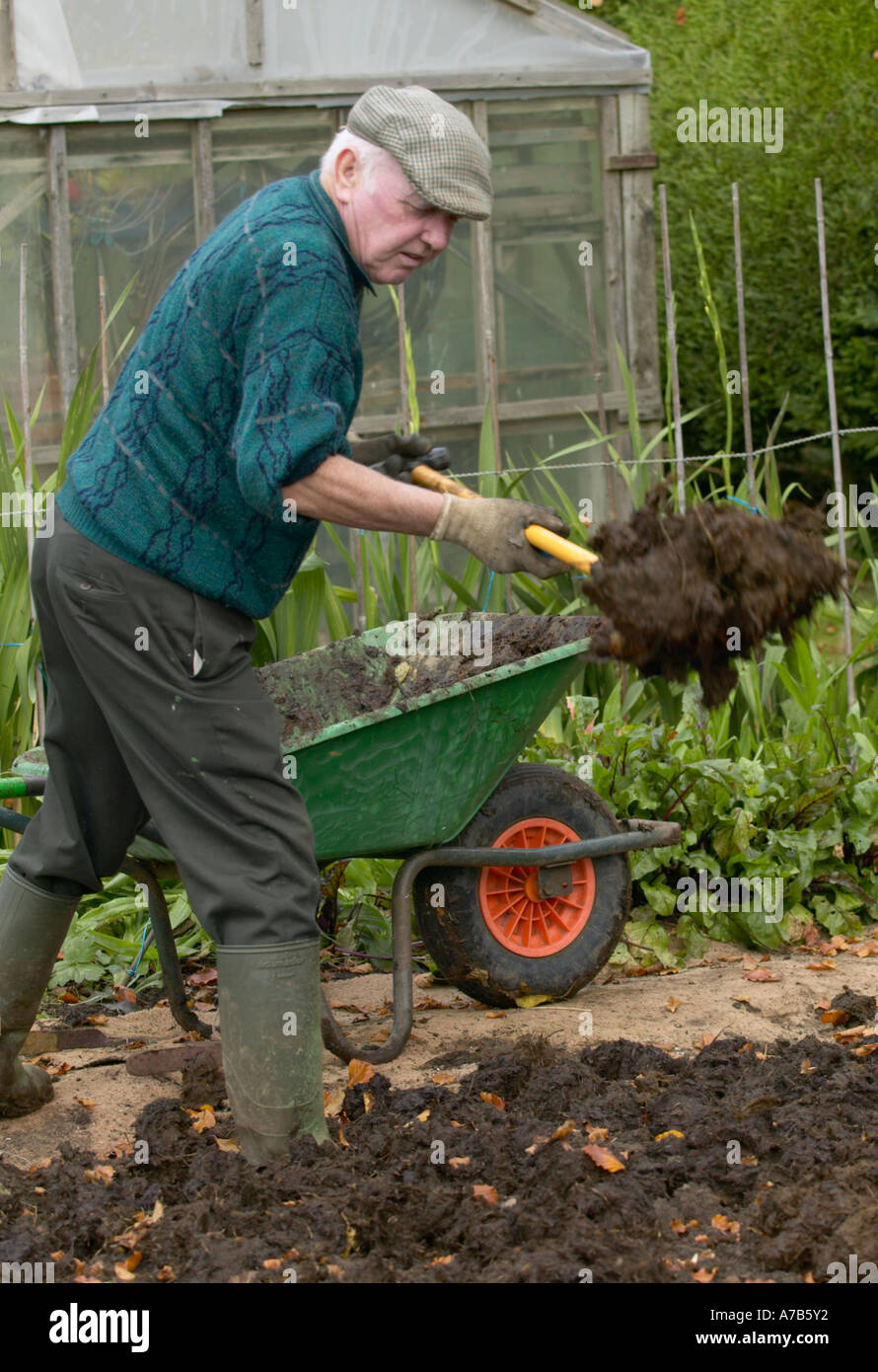 Gemüsegarten, gefüttert mit Gülle Stockfoto