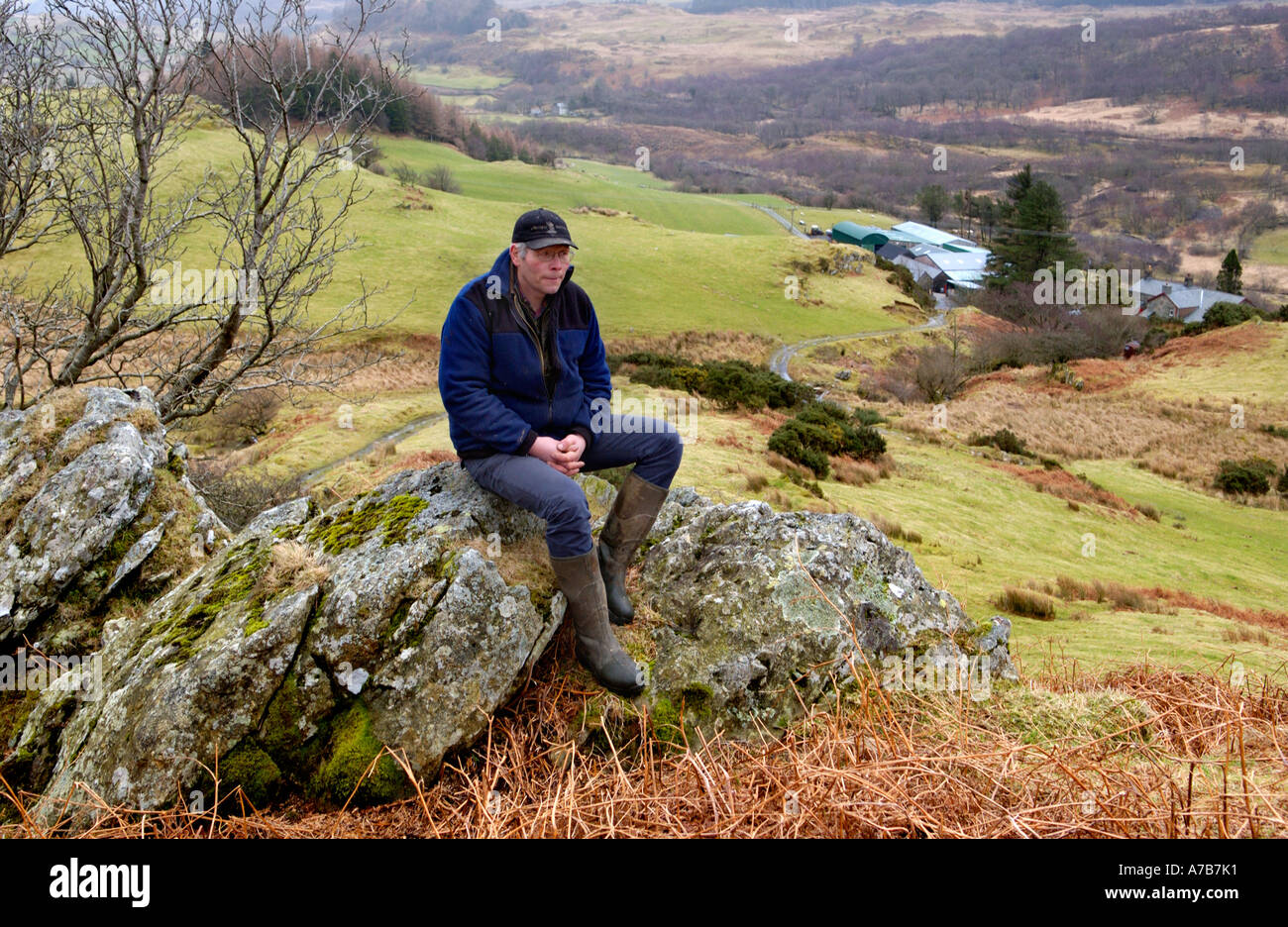 Schafzüchter mit Blick auf sein Land und Hof, leiden noch immer die Auswirkungen der radioaktiven Fallout in Snowdonia Nord-Wales Stockfoto
