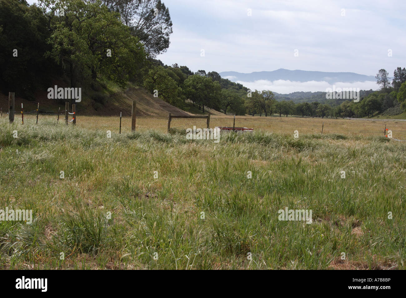 California-Landschaft Stockfoto