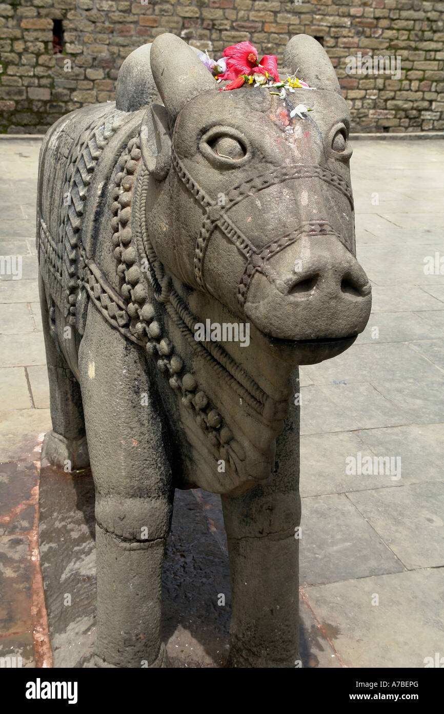 zeremonielle Bull am Baidyanath Tempel Stockfoto zeremonielle Bull am Baidyanath Tempel Stockfoto