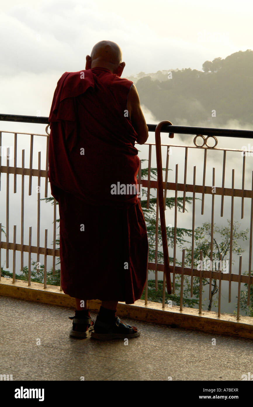 buddhistischer Mönch im Namgyal gompa Stockfoto