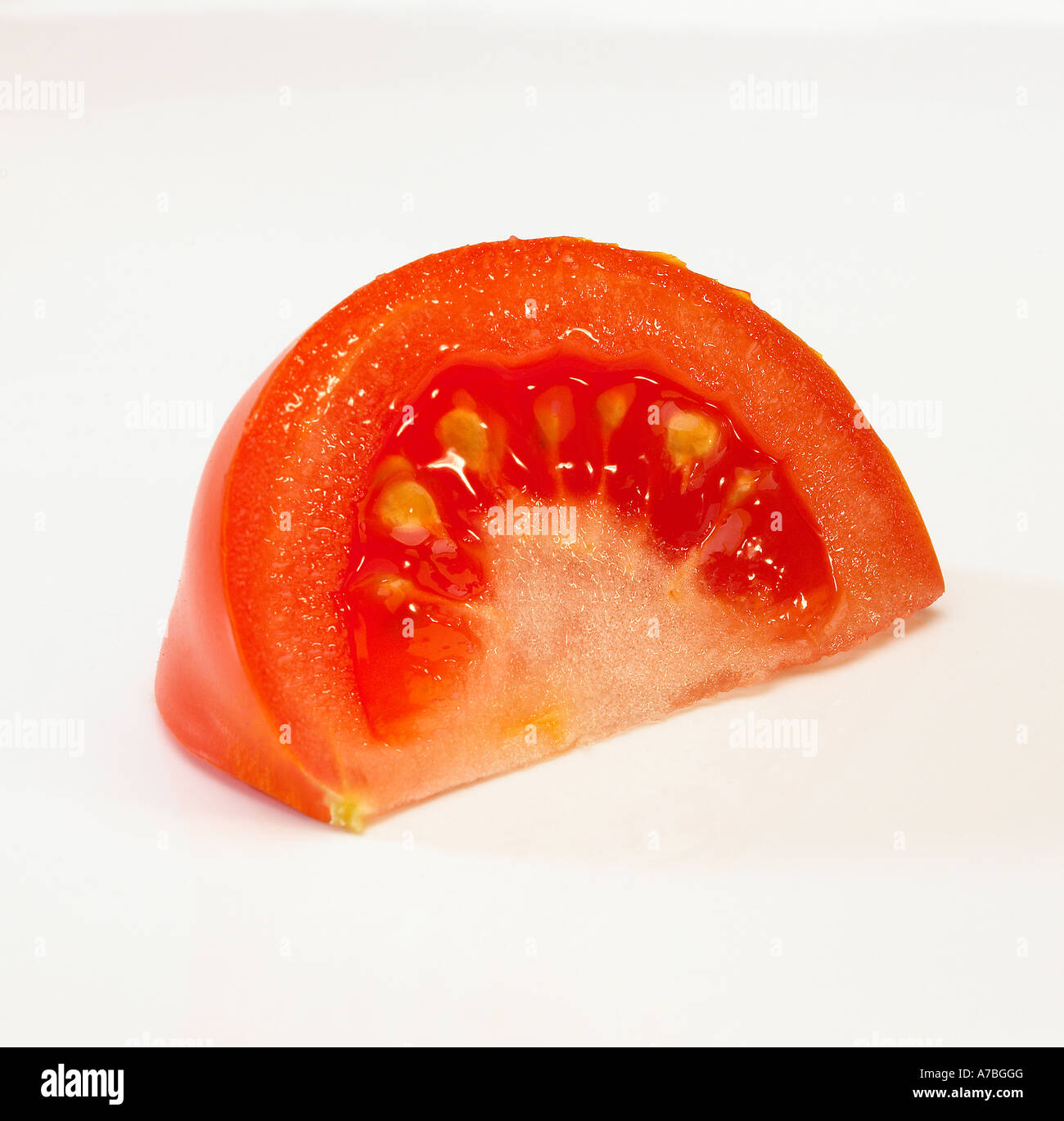 EINZIGEN STÜCK FRISCHE REIFE ROTE TOMATEN AUF WEIßEM HINTERGRUND Stockfoto