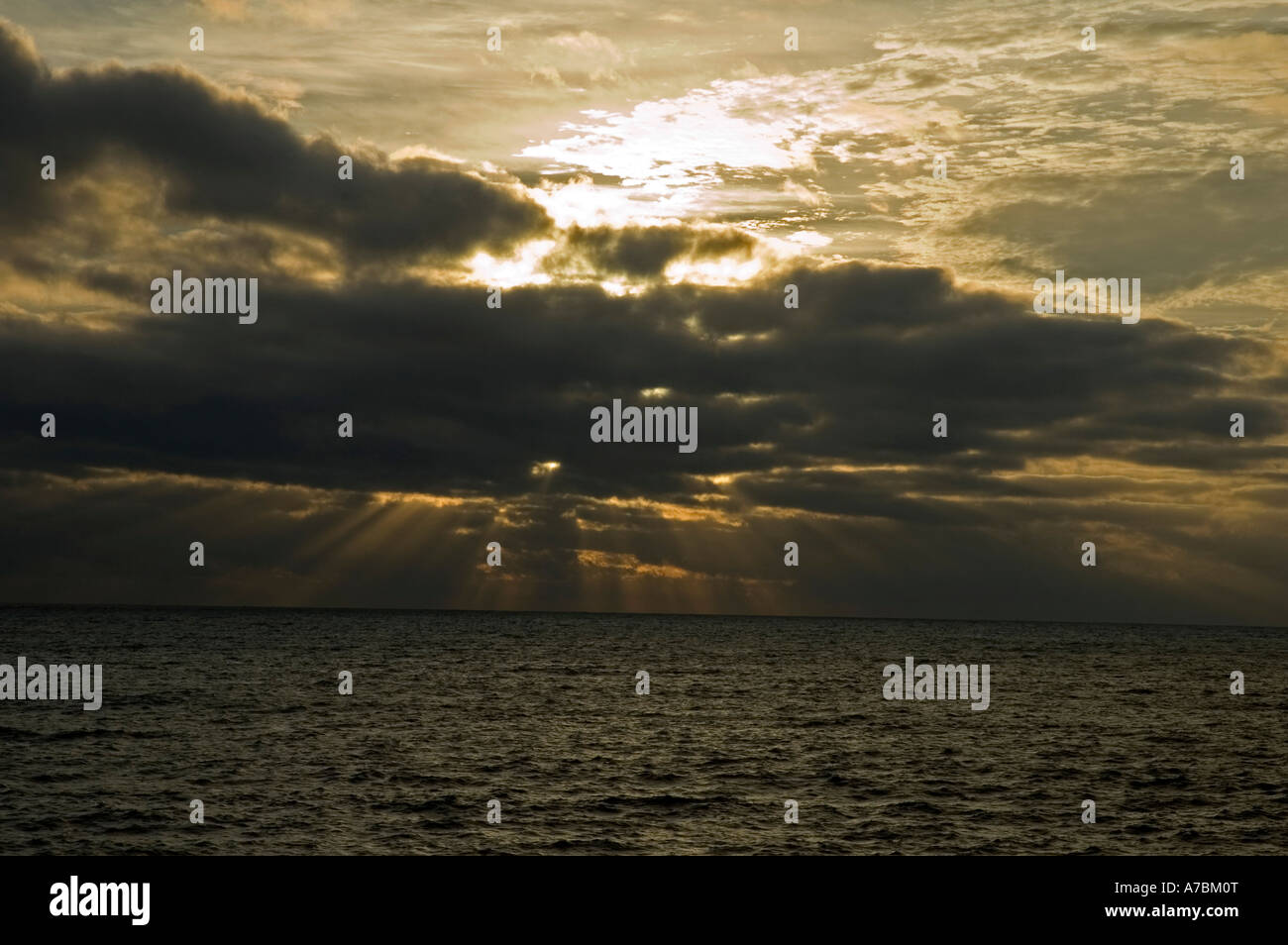 Frühen Morgen Licht Frenchmans Bay Stockfoto