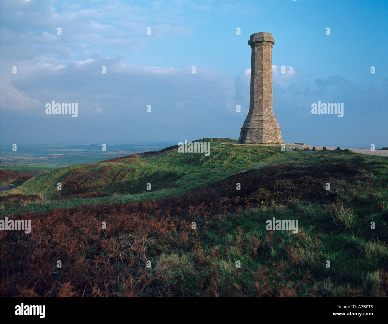 Hardy Denkmal 70 Fuß Steinsäule auf Black Down, Sir Thomas Masterman Hardy Nelson s Flag Kapitän 1846 Dorset gewidmet Stockfoto