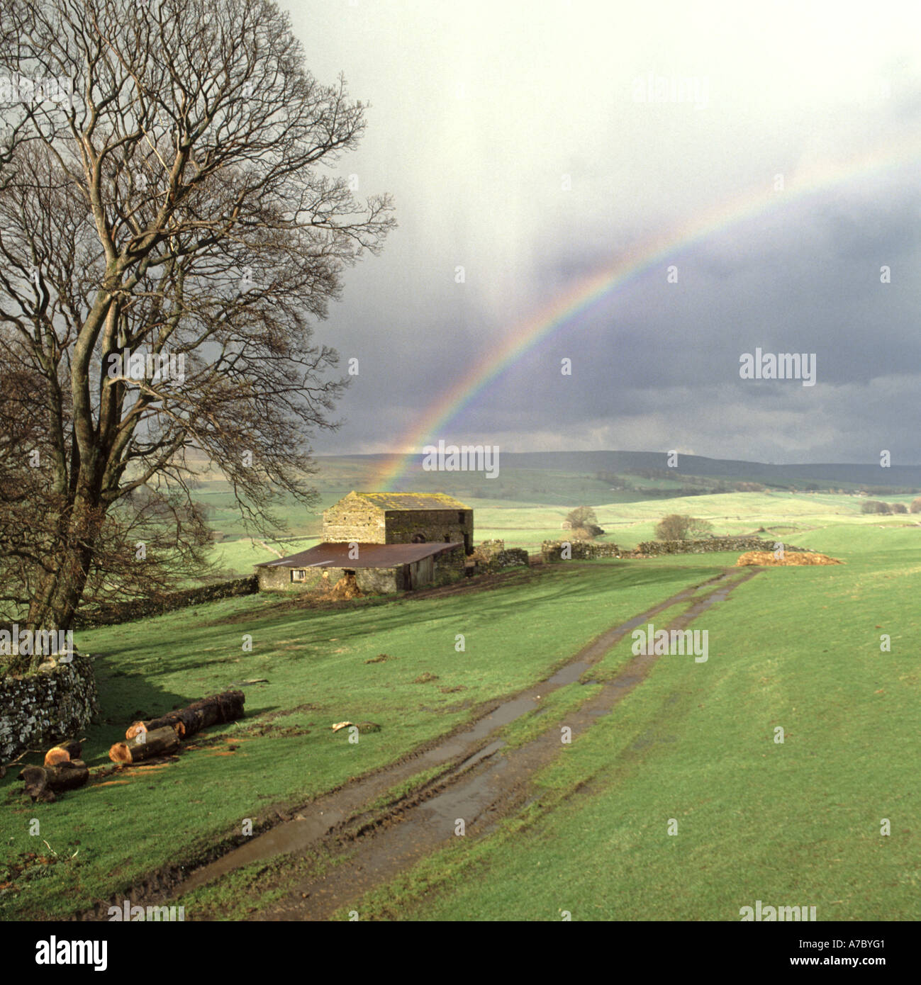 Hawes Stadtrand in Norden Yorkshirea winter Regendusche produziert ein Regenbogen über alte Scheune in Ackerland in der Landschaft Landschaft mit winter baum UK Stockfoto