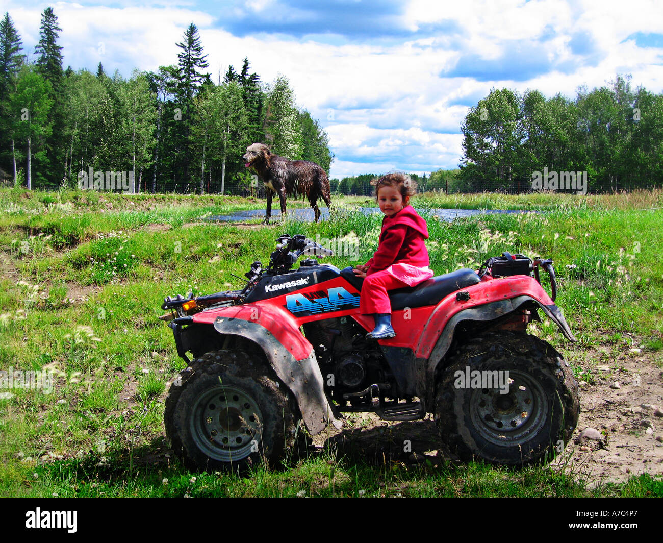 Kind auf Quad Bike in Alberta Kanada mit ihrem Irish Wolfhound im Hintergrund. Stockfoto