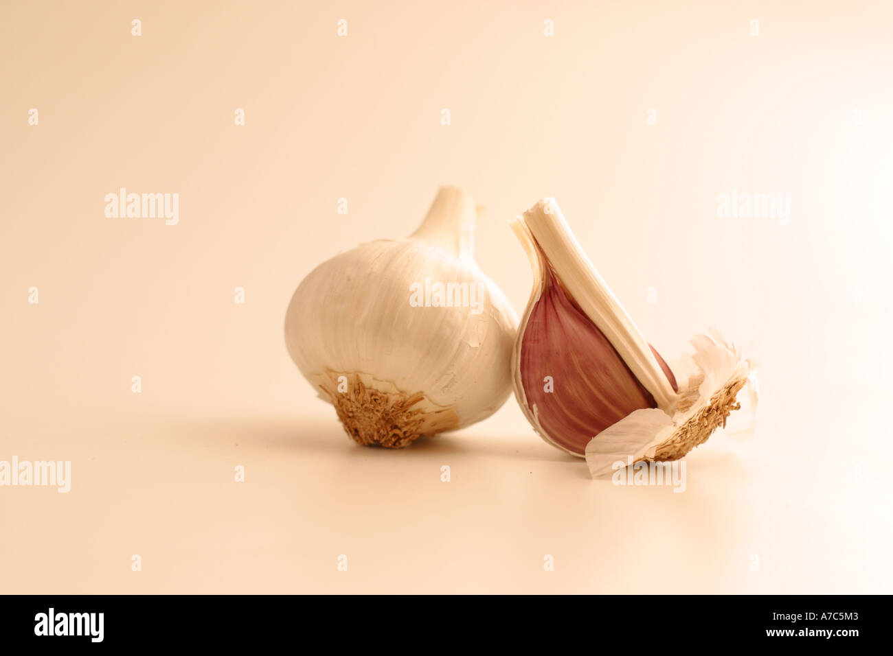 Knoblauch Zwiebeln auf weißem Hintergrund Stockfoto