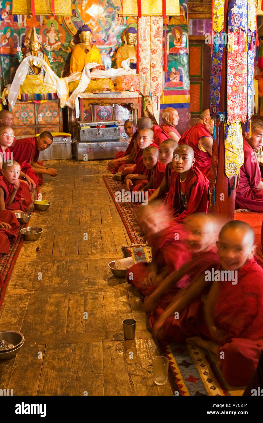 Junge Mönche und Mönche des Gelupa--Ordens während der Puja - Likir Gompa - Ladakh - indischen Himalaya Stockfoto