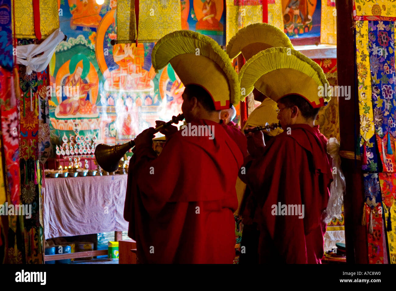 Junge Mönche und Mönche des Gelupa--Ordens während der Puja - Likir Gompa - Ladakh - indischen Himalaya Stockfoto