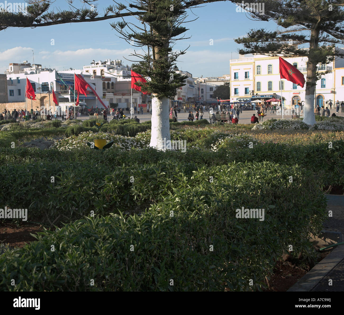 Gärten und rote marokkanische Flagge Platz Moulay Hassan, Essaouira, Marokko Stockfoto