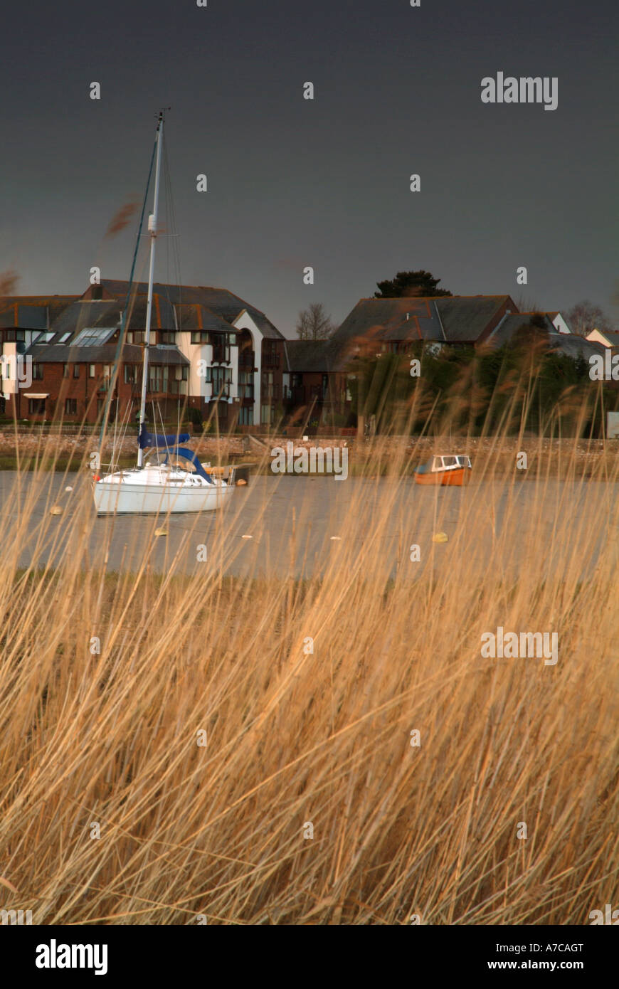 Fluß Exe Topsham Devon UK Stockfoto