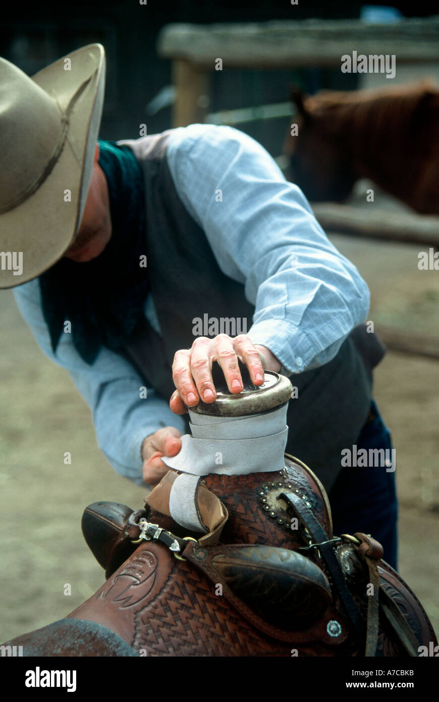 Eine Sattel-Hersteller setzt Rohhaut auf Sattel Vorbereitungen für Abseilen und branding-Kühe Stockfoto