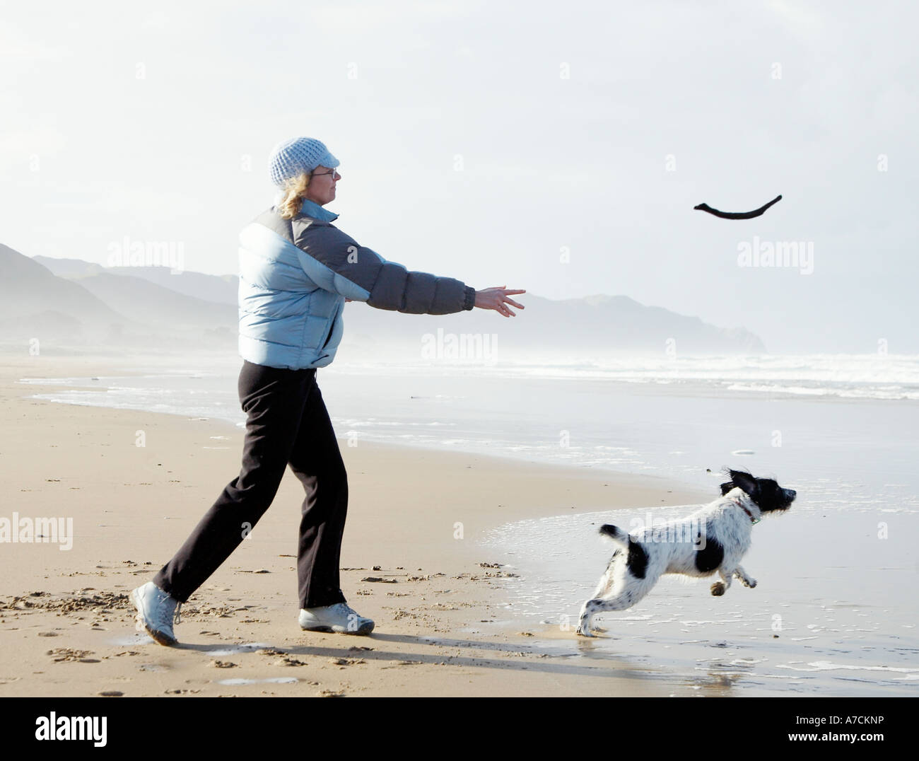 Person es Hund am Strand spazieren und Stock zu werfen Stockfoto