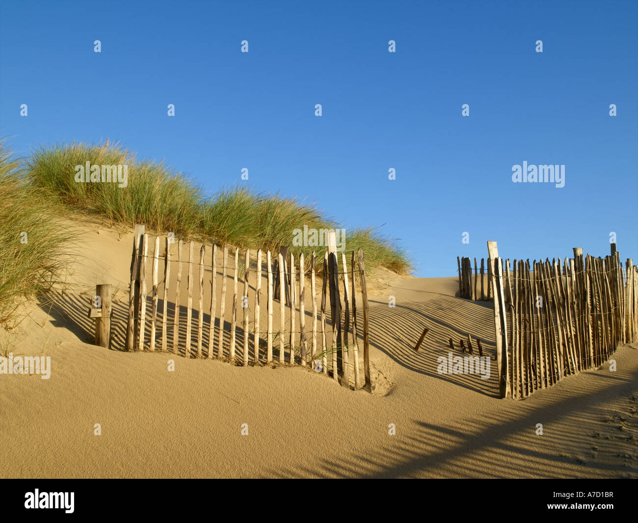 Camber Sanddünen in der Nähe von Roggen Stockfoto