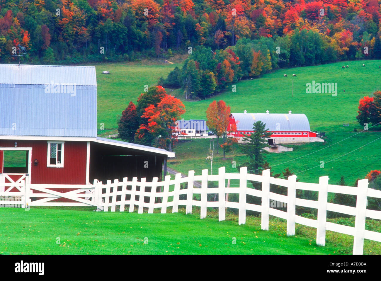 Bauernhof mit weißen Zaun im Bundesstaat New York im Herbst Laub Stockfoto