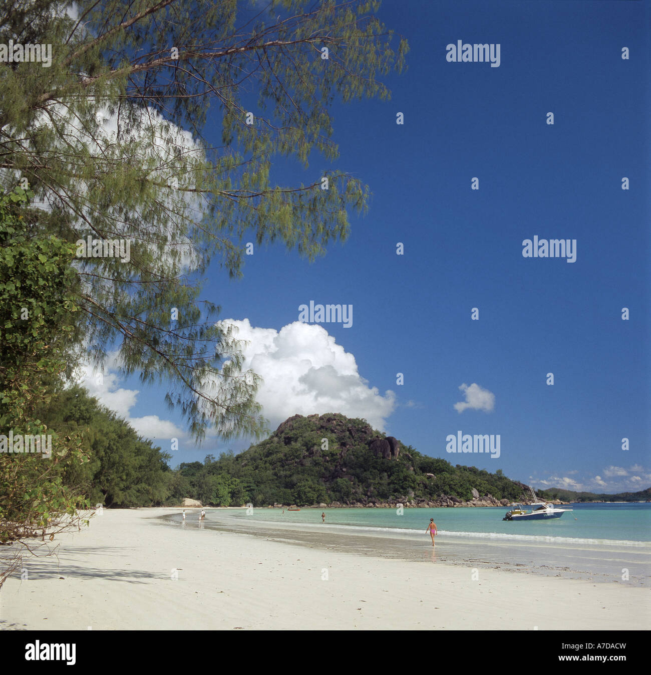 Insel Praslin, Seychellen, Anse Volbert Beach Stockfoto