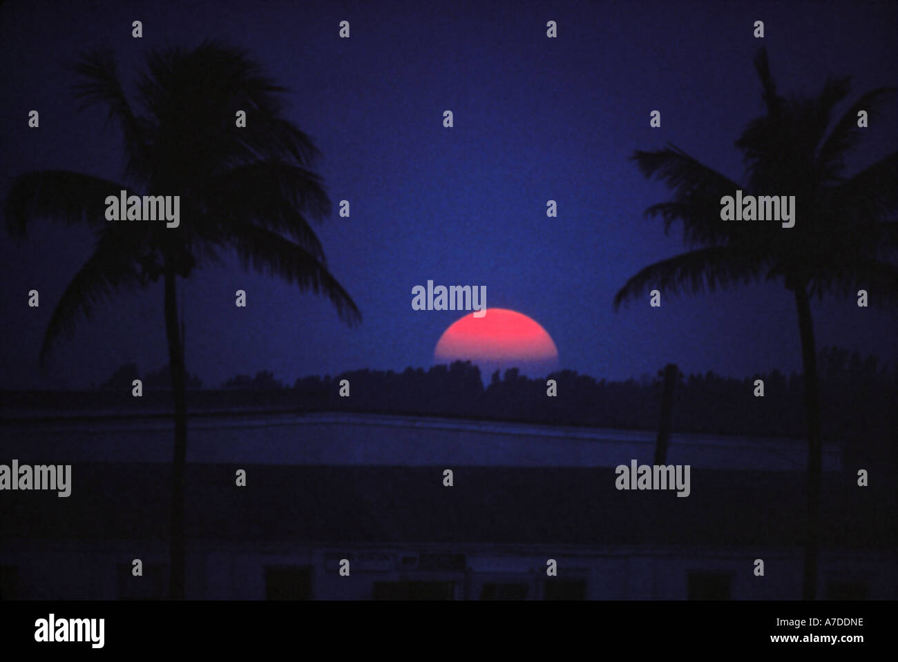 Sonnenuntergang in Florida Everglades National Park, USA Stockfoto