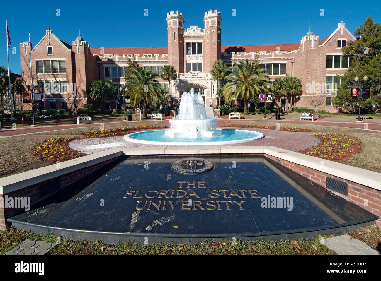 Westcott Gebäude und Ruby Diamond Auditorium Florida State University Campus Tallahassee Florida FL Seminolen Stockfoto