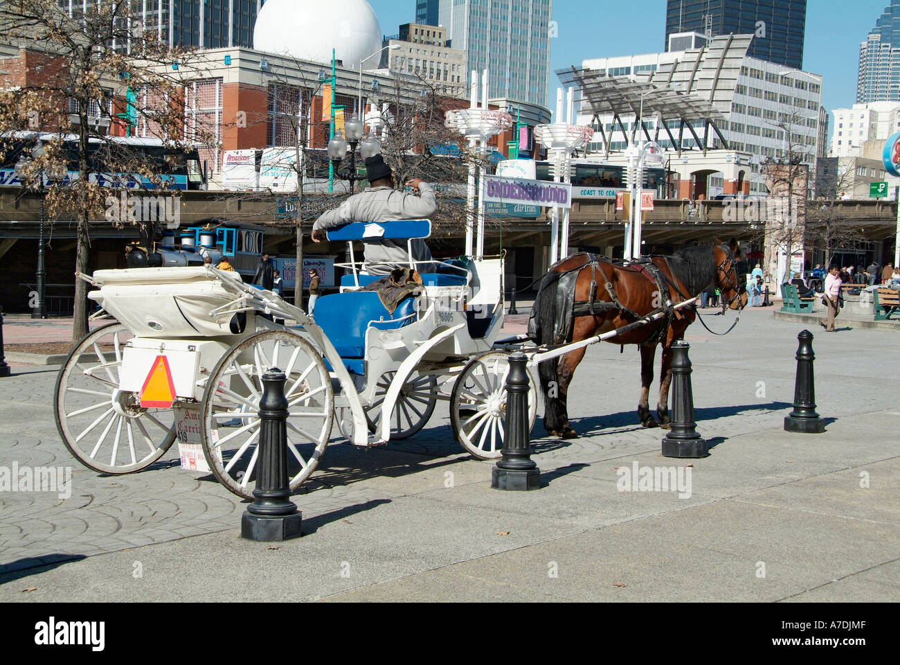 Pferd und Buggy touristische Touren im gesamten Bereich der Stadt Atlanta Georgia GA u Stockfoto