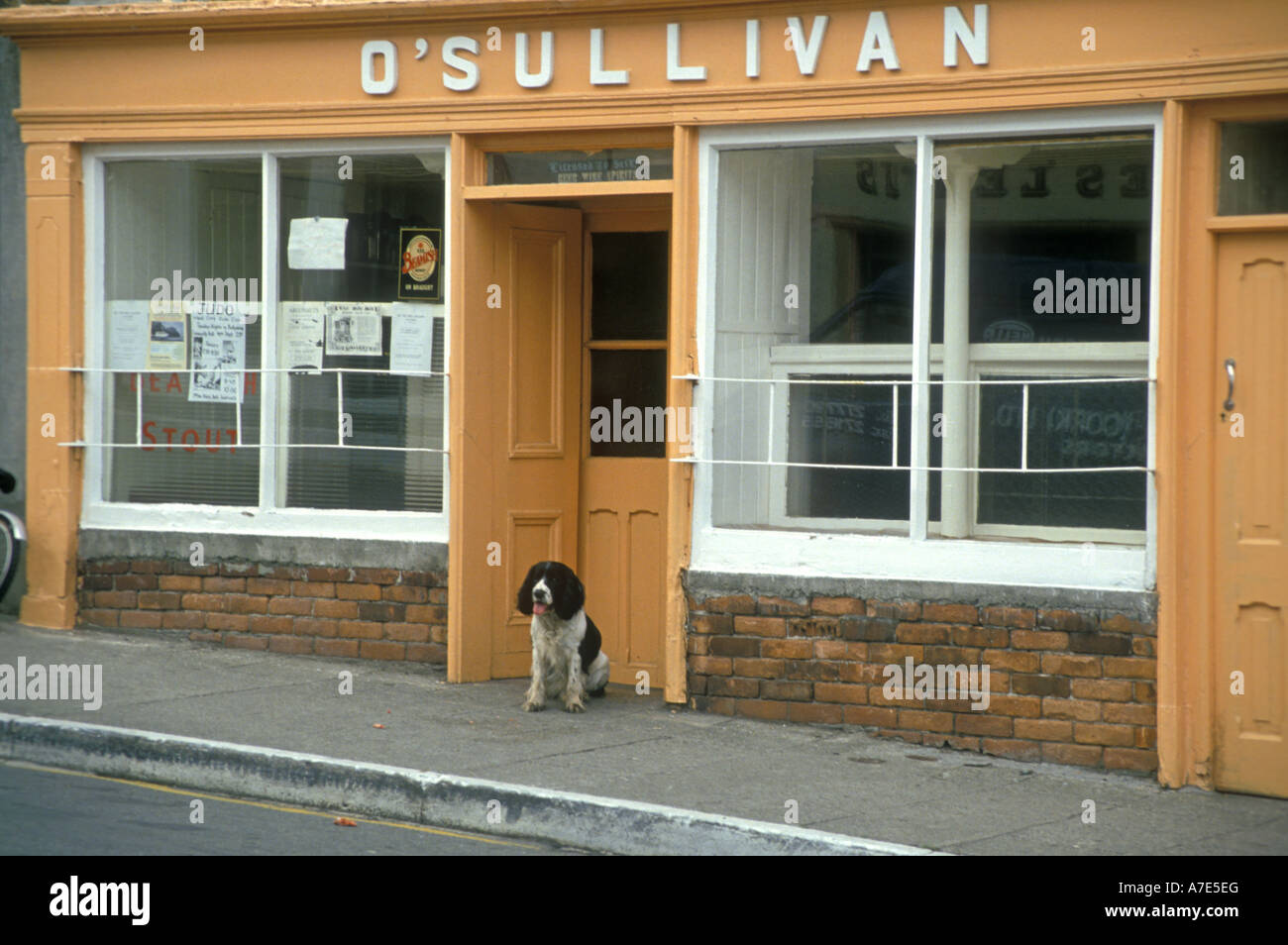 Europa-Irland Cork Ballydehob O'Sullivan Pub mit einem freundlichen Hund vor der Tür Stockfoto