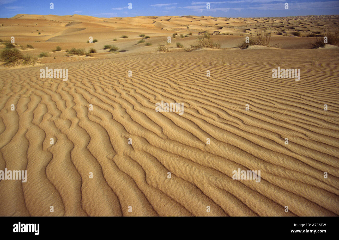 Sahara-Wüste, Nr Chinguetti, Mauretanien, Westafrika Stockfoto