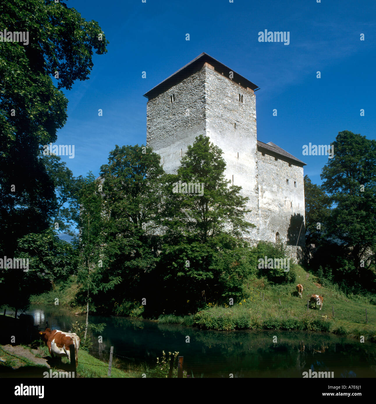 Burg Kaprun, Kaprun, Salzburgerland, Tirol, Österreich Stockfoto